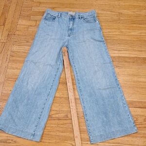 Everlane Light Blue Wide Leg Jeans